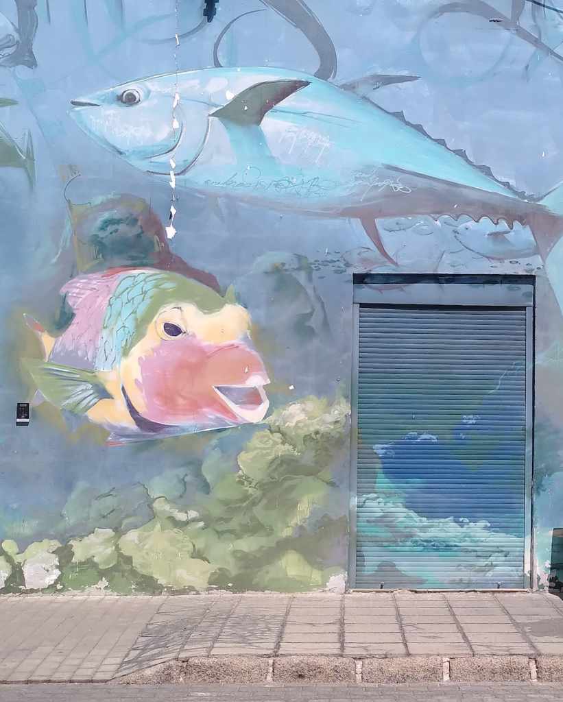 Wandfische - Fuerteventura, El Cotillo
